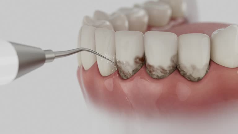 Reliable Dental contractor in Morrisville, VT by Dentist Open Now